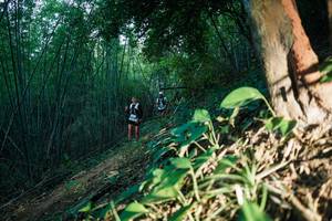 BIB: 
                            <button type="button" onclick="openModal(28124235)" class="btn btn-primary btn-sm float-right btn-popup" data-toggle="modal" data-target=".modal-high-quality">
                        <i class="fas fa-shopping-cart"></i> Add to Cart
                    </button>
                                            <button type="button" onclick="isThisMe(28124235, true)" class="btn btn-success btn-sm float-right btn-popup btn-isme hidden" data-toggle="tooltip" data-placement="bottom" title="นี่คือรูปของคุณใช่ไหม คลิกที่นี่เพื่อเอาเข้าอัลบั้ม">
                        <i class="fas fa-plus"></i> Add to album
                    </button>
                    <button type="button" onclick="isThisMe(28124235, false)" class="btn btn-warning btn-sm float-right btn-popup btn-isnotme hidden">
                        <i class="fas fa-ban"></i> Remove from album
                    </button>